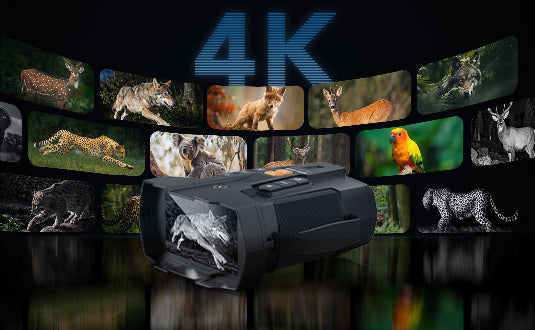 4K Photo & 1080P Video