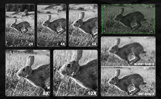 10X Digital Zoom